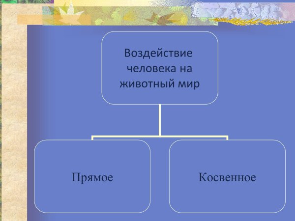 Преднамеренное и непреднамеренное воздействие человека на природу