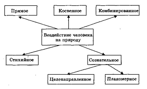Влияние деятельности человека на природу