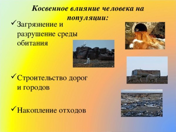 Загрязнение окружающей среды