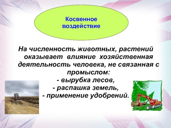 Влияние человека на животный мир