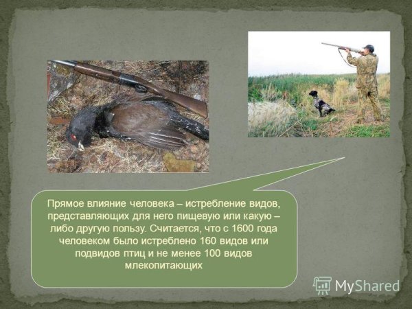 Прямые и косвенные антропогенные факторы