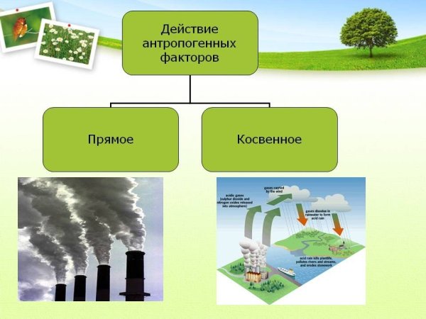 Как человек влияет на природу