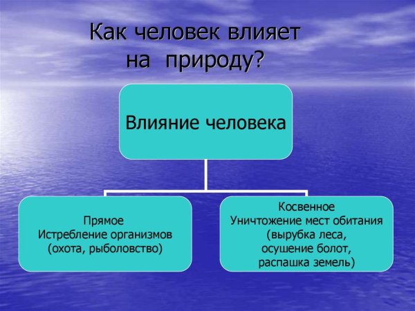 Влияние экологии на природу и человека