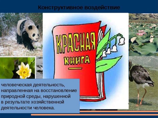 Прямое влияние человека