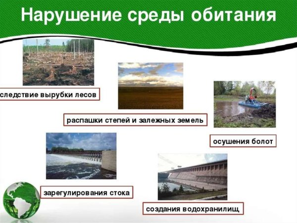 Антропогенные факторы окружающей среды