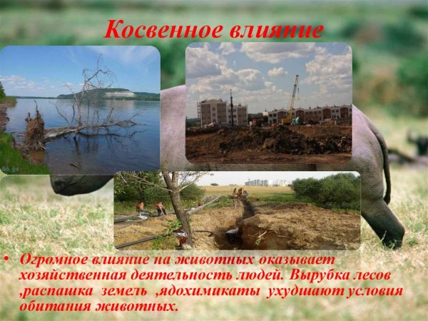 Прямое воздействие человека на природу