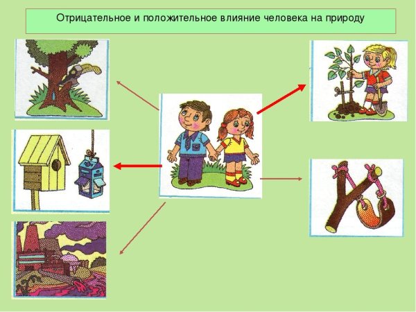 Влияние человека на природу