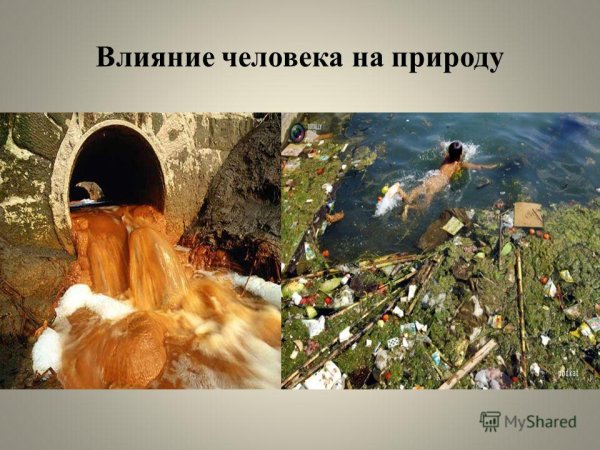 Влияние человека на природу
