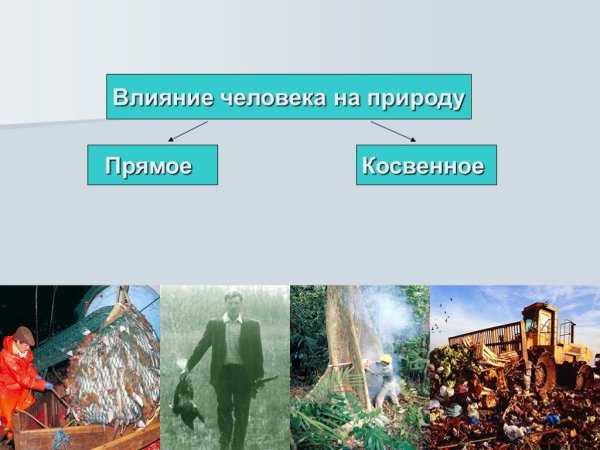 Влияние человека на природу