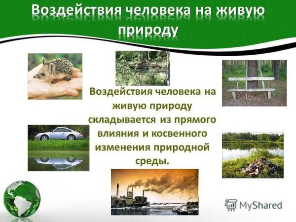 Косвенное влияние человека на животных
