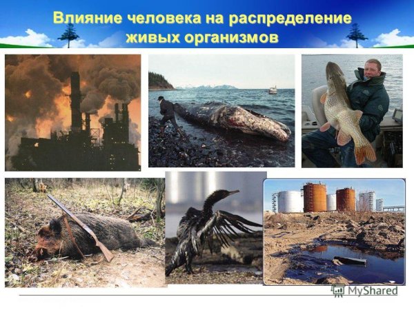 Влияние на природу