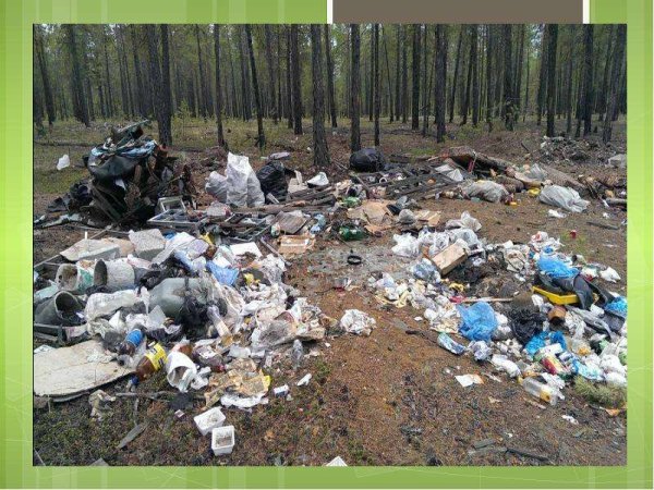 Влияние человека на животных