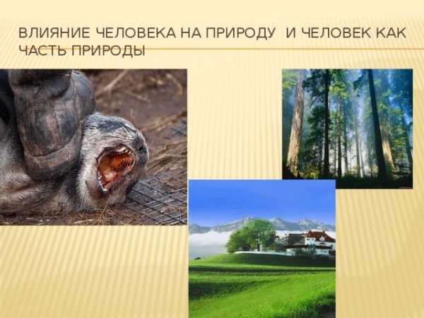 Косвенное влияние на природу