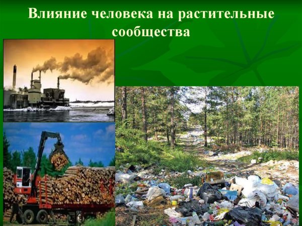 Негативное воздействие человека на природу