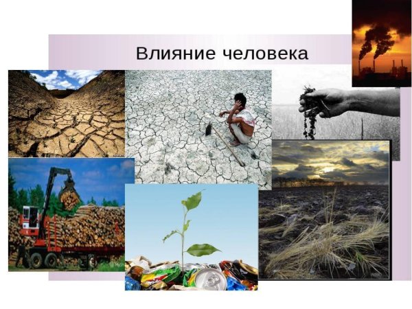 Влияние человека на природу