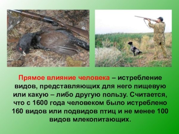 Влияние человека на природу