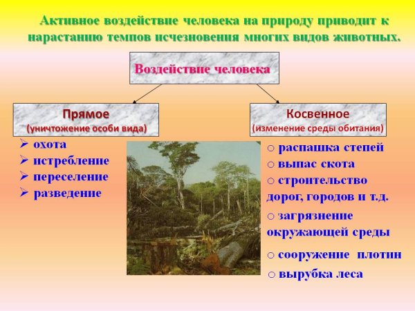 Отрицательное влияние человека на природу и меры по охране природы