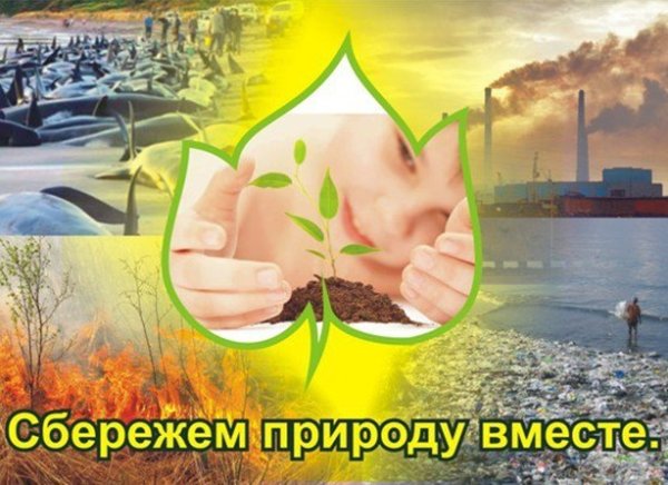 Влияние человека на животный мир