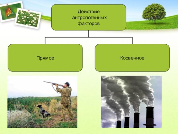Влияние человека на природу
