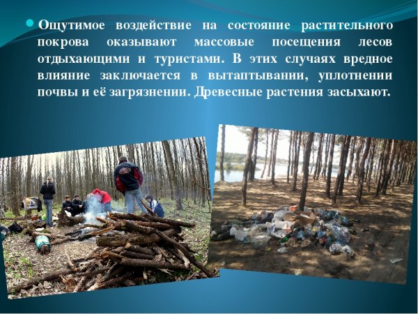 Влияние человека на природу