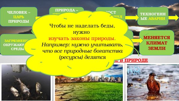 Воздействие человека на природу
