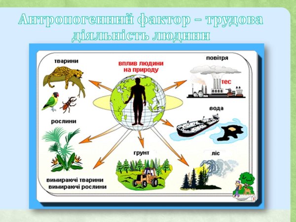 Влияние человека на окружающую среду