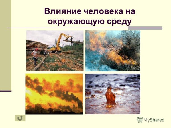 Антропогенное воздействие на окружающую среду