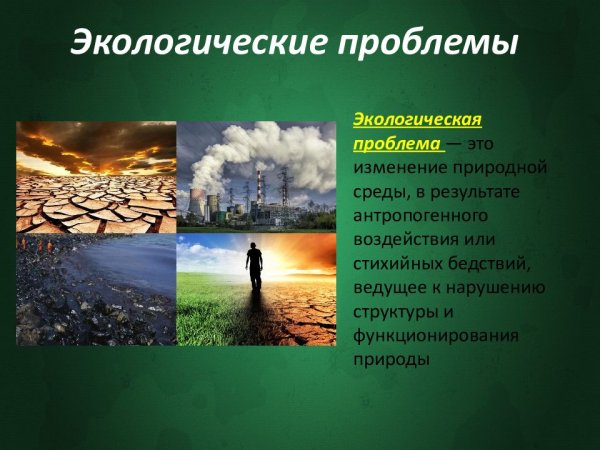 Антропогенное воздействие на природу