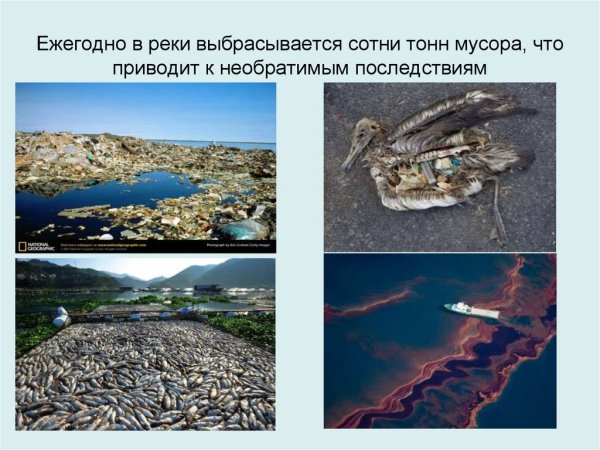 Влияние деятельности человека