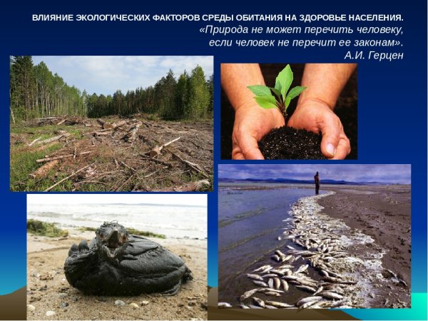 Влияние человека на природу