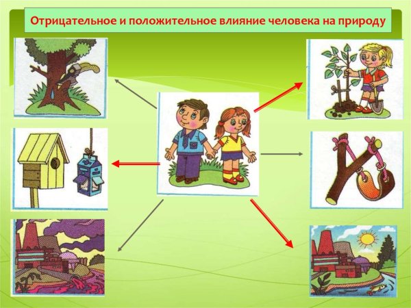 Воздействие человека на природу