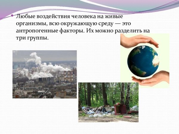 Отрицательное воздействие человека на природу примеры