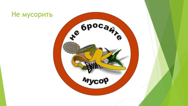 Рисунок не мусорить