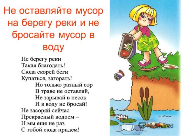 Противопожарные аншлаги в лесу