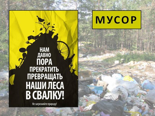 Мусорить в лесу