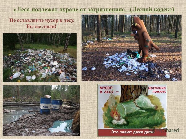 Картинки на тему экология