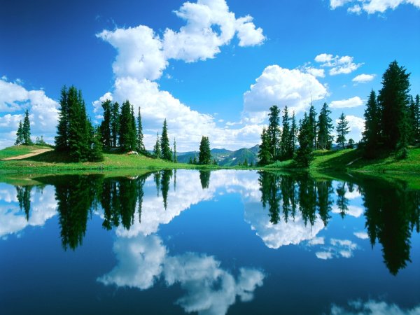 Красивая природа