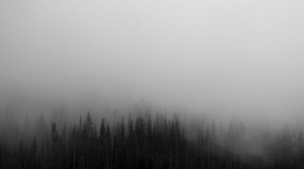 Серый туман