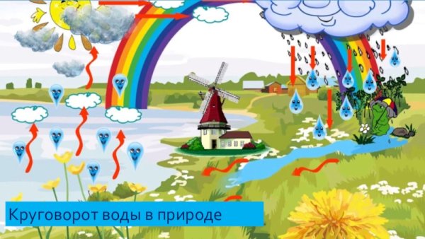 Круговорот азота в воде