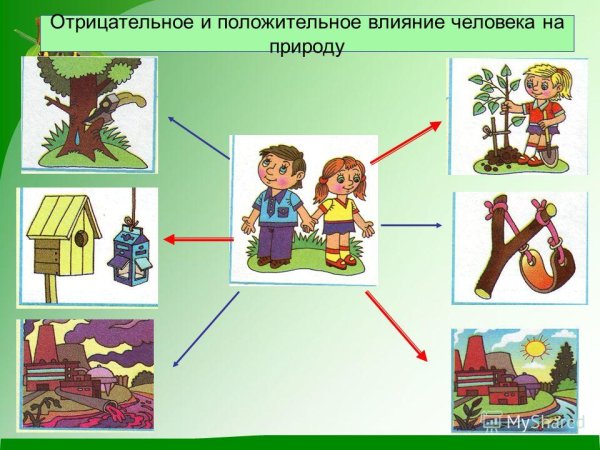 Положительное и отрицательное влияние человека на природу