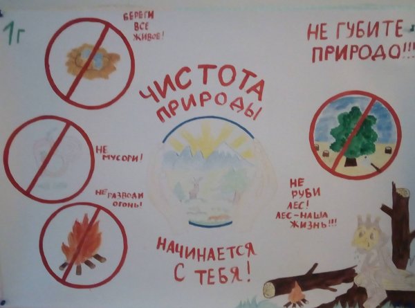 Рисунок на тему защита природы