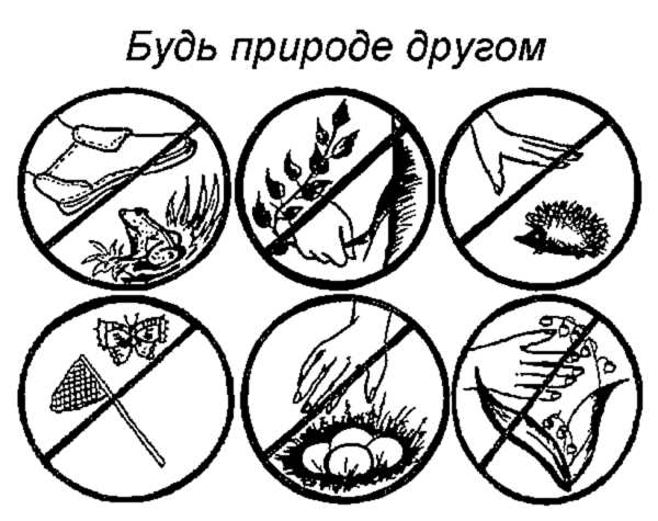 Экологические знаки по охране природы