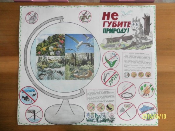 Знак не ломать ветки