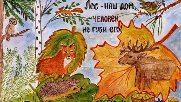 Мусор в лесу плакат