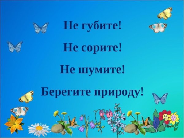 Плакат лес