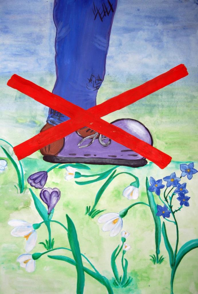 Знаки защиты природы