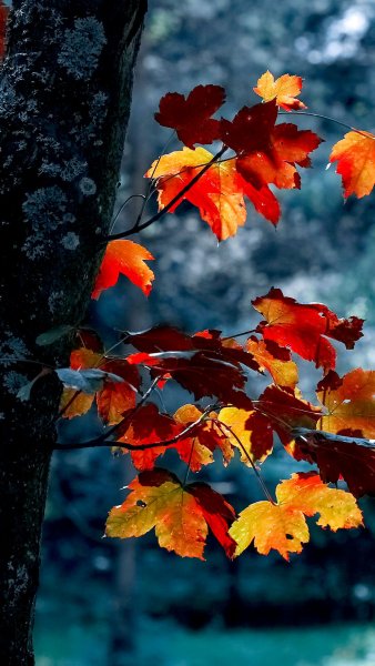 Сентябрь природа