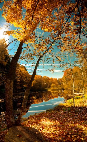 Природа осень