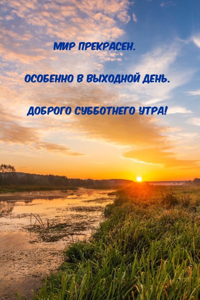 Утро счастье
