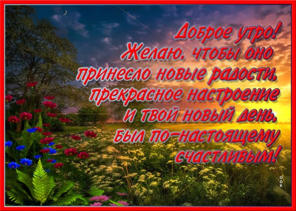 Солнечные пожелания с добрым утром и днем
